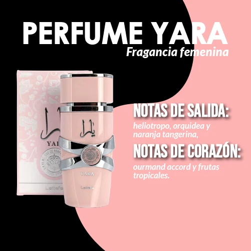 ¡El juego con nuestras nuevas adiciones!