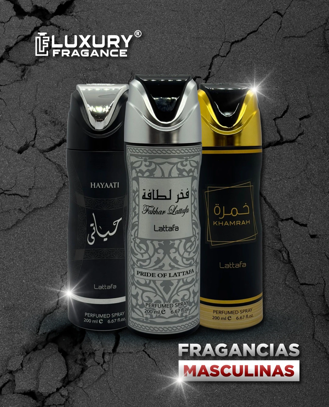 ¡Prepárate para nuestras nuevas Colecciones Audaces!